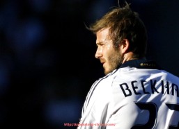 看球通-健身器材官方网站建设要点与展示内容规划建议