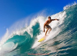 看球通-热刺队内英超出色球员表现及关键比赛回顾